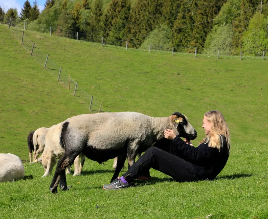 Folkogfe1